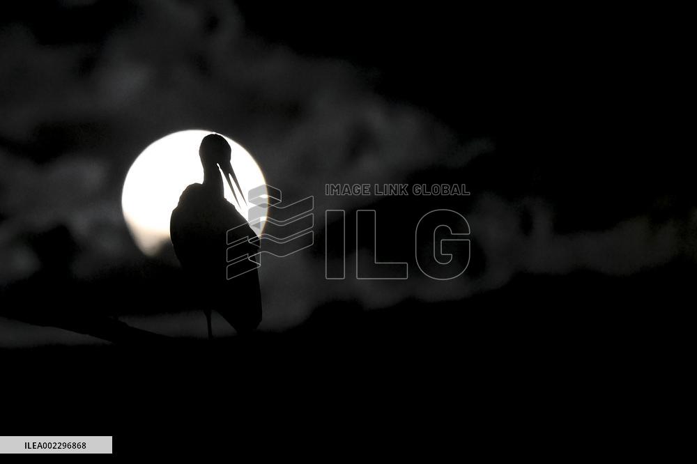 NORTH MACEDONIA-SKOPJE-FULL MOON