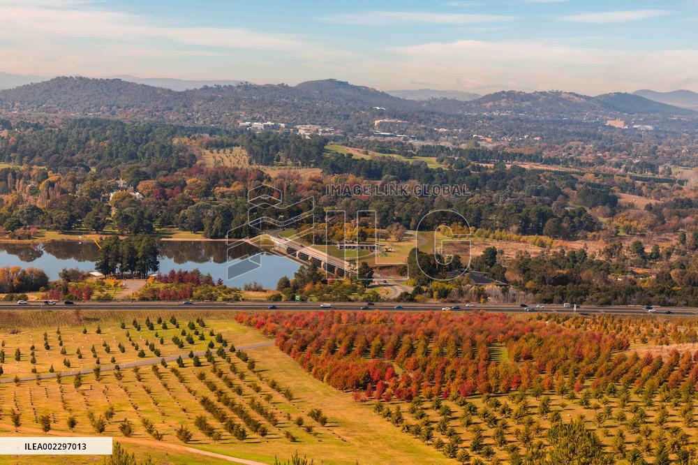 AUSTRALIA-CANBERRA-AUTUMN SCENERY