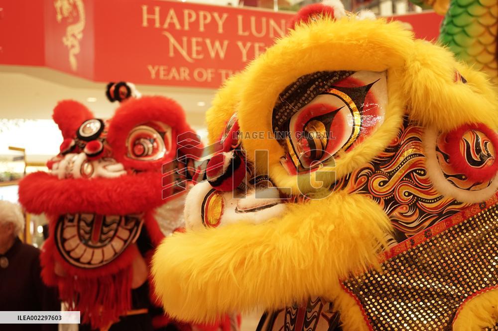 U.S.-CALIFORNIA-ORANGE COUNTY-LUNAR NEW YEAR-CELEBRATION