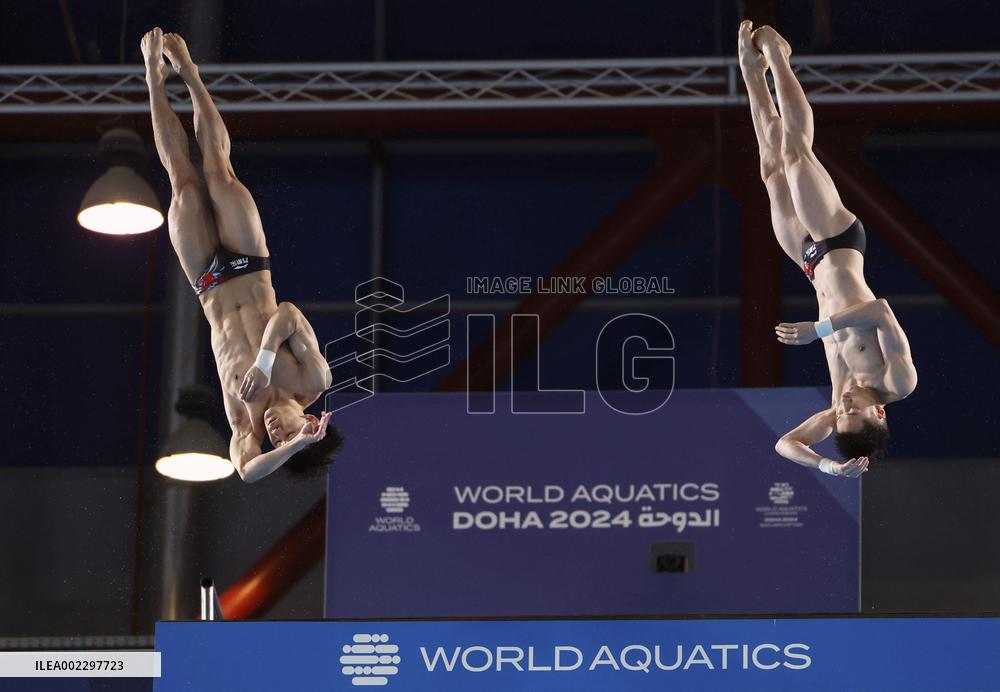 World aquatics championships
