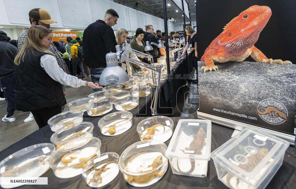 CANADA-MISSISSAUGA-REPTILE EXPO