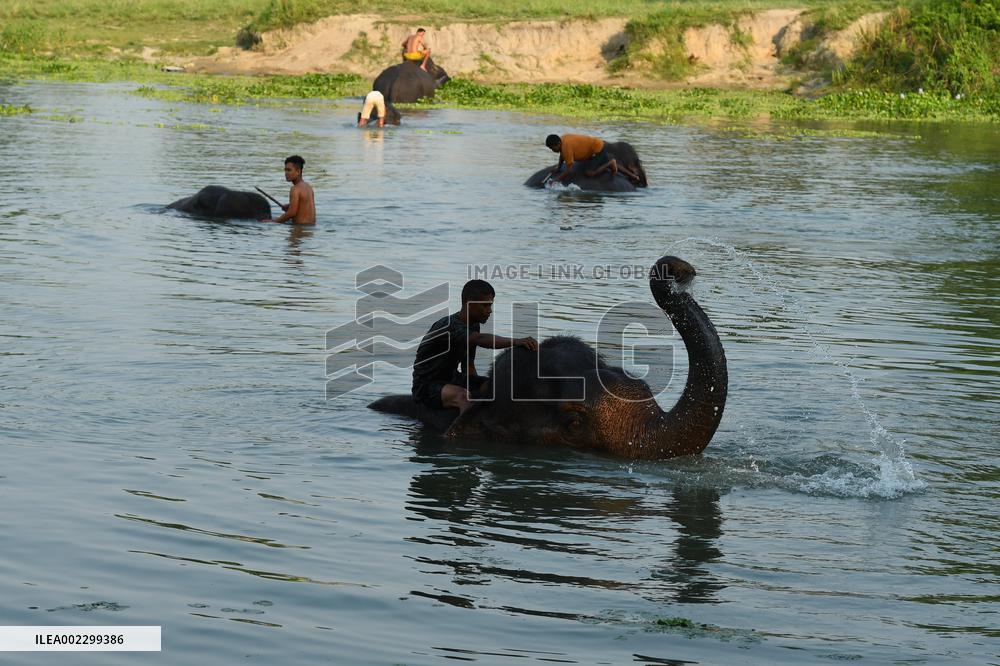 INDIA-ASSAM-MORIGAON-ELEPHANT BATH