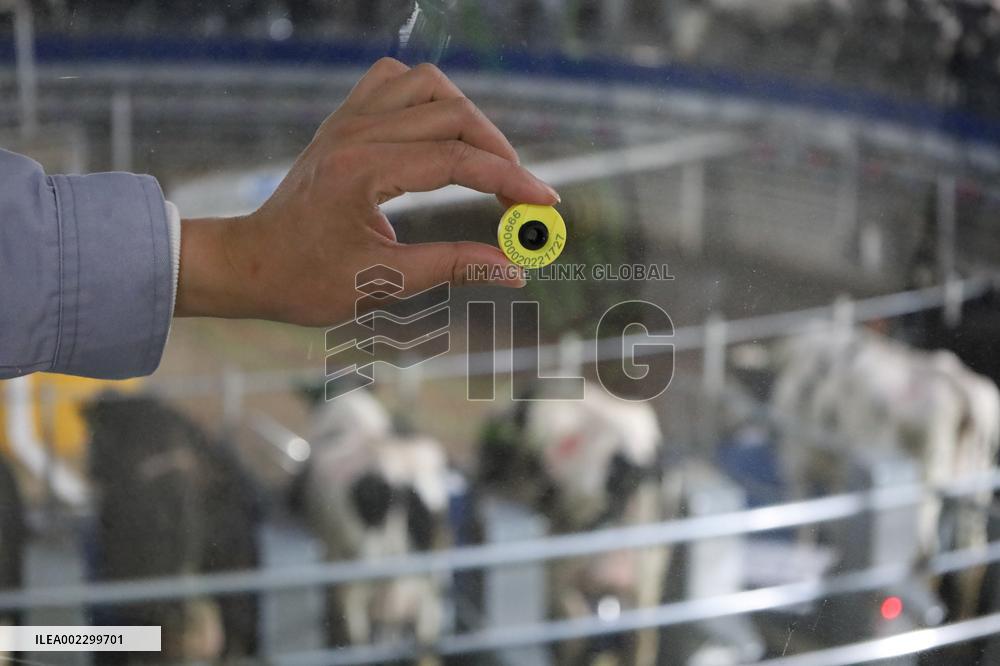 CHINA-GANSU-WUWEI-DAIRY FARM-AI-POWERED DEVICES (CN)