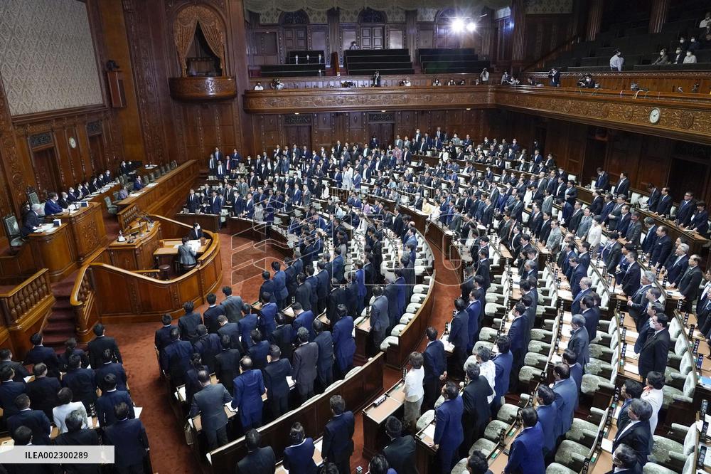 Japan lower house passes revision of immigration law