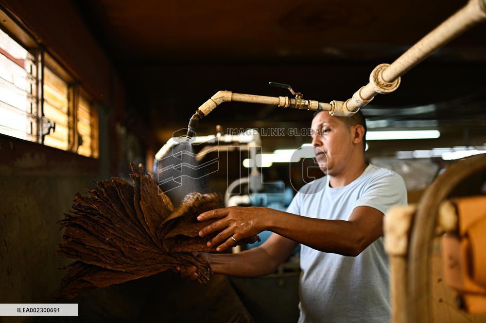 HONDURAS-DANLI-ECONOMY-TOBACCO-CIGARS