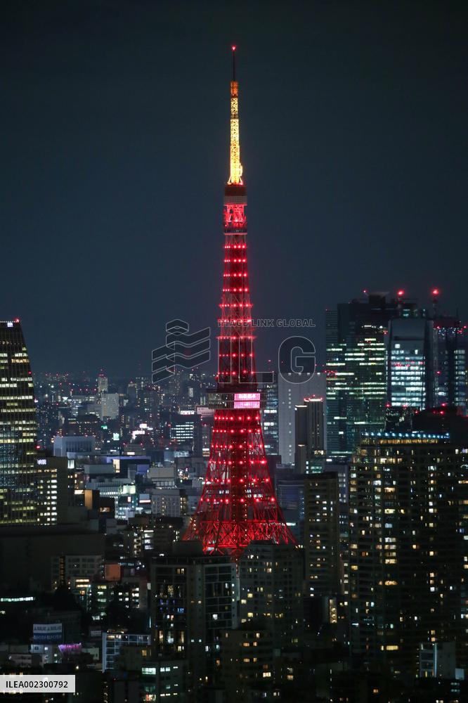JAPAN-TOKYO-TOKYO TOWER-CHINESE NEW YEAR-ILLUMINATION