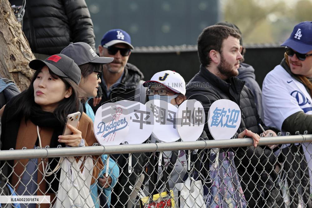 Baseball: MLB spring training