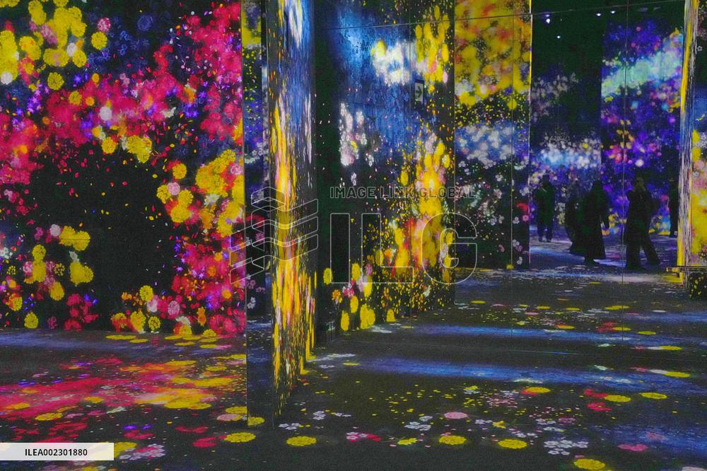JAPAN-TOKYO-DIGITAL ART-MUSEUM