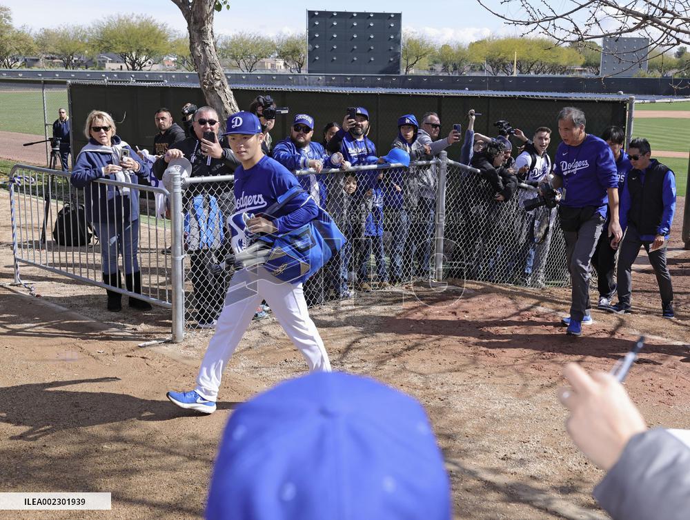Baseball: MLB spring training
