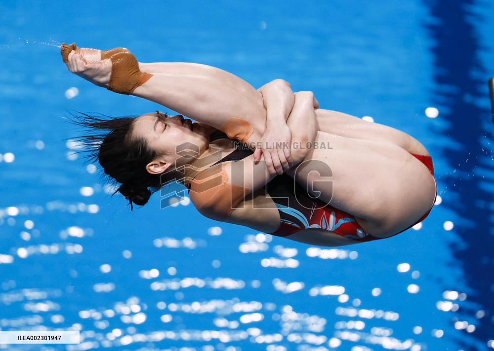 World aquatics championships