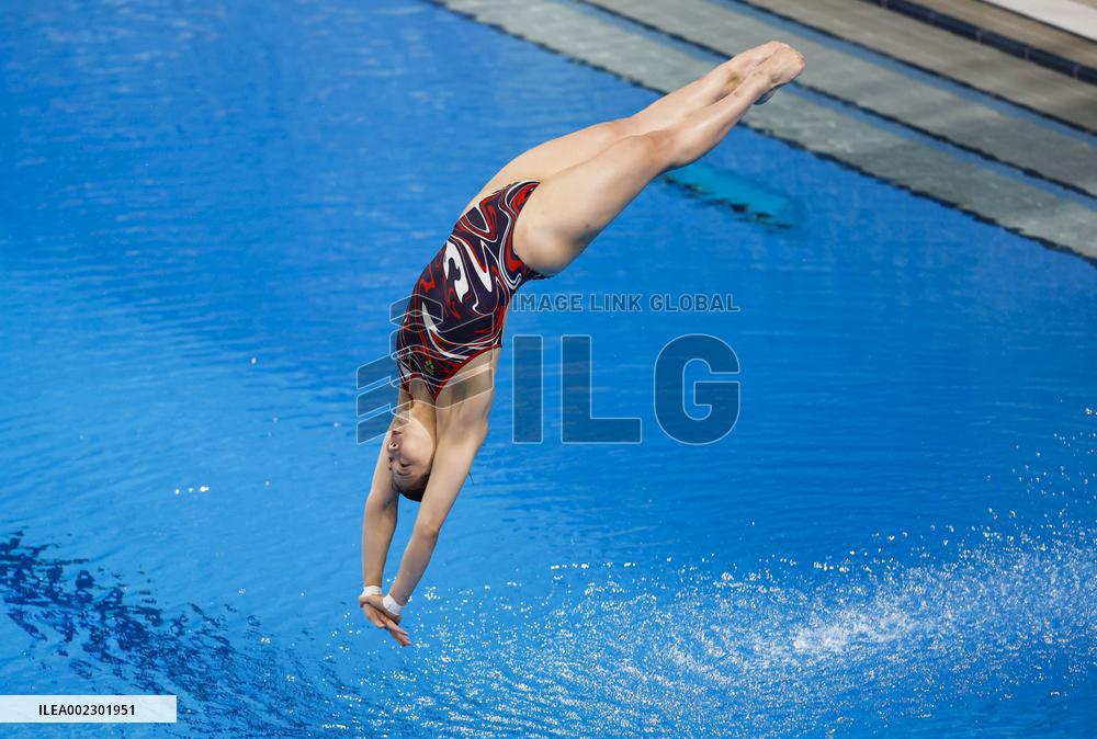 World aquatics championships