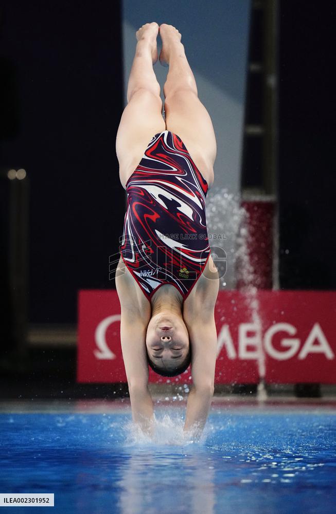 World aquatics championships