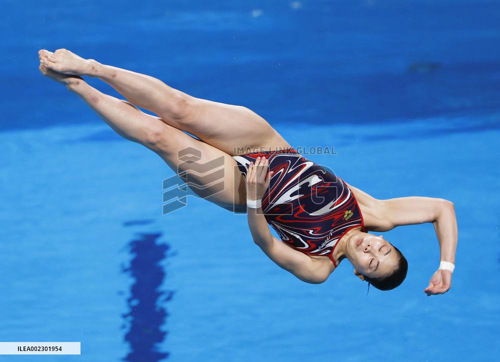 World aquatics championships