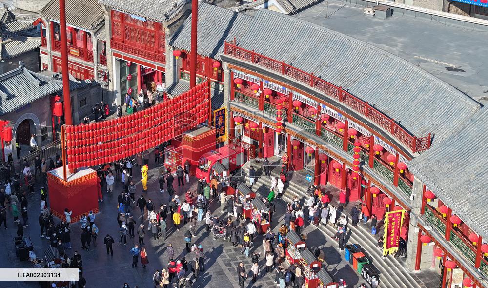 CHINA-TIANJIN-CULTURE-LUNAR NEW YEAR (CN)