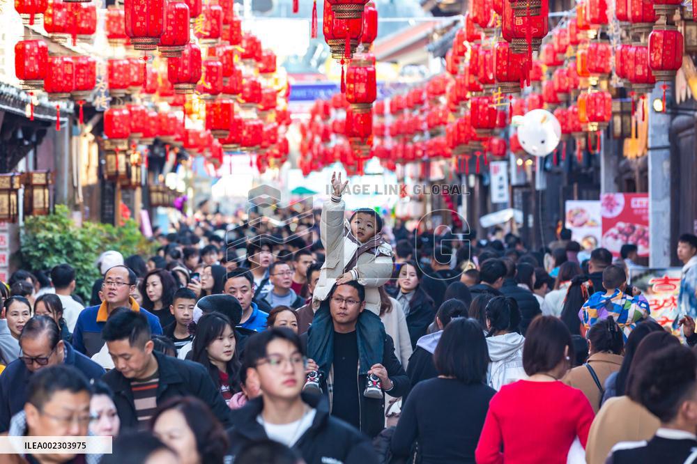 #CHINA-SPRING FESTIVAL-CELEBRATIONS (CN)