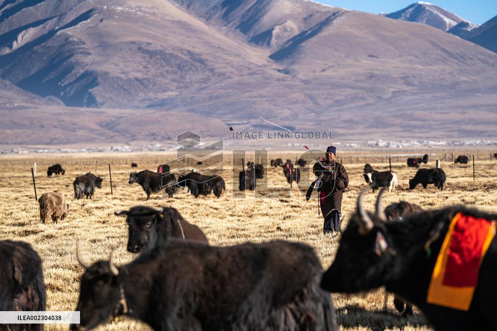 (InXizang)CHINA-XIZANG-FAMILY-TIBETAN NEW YEAR (CN)