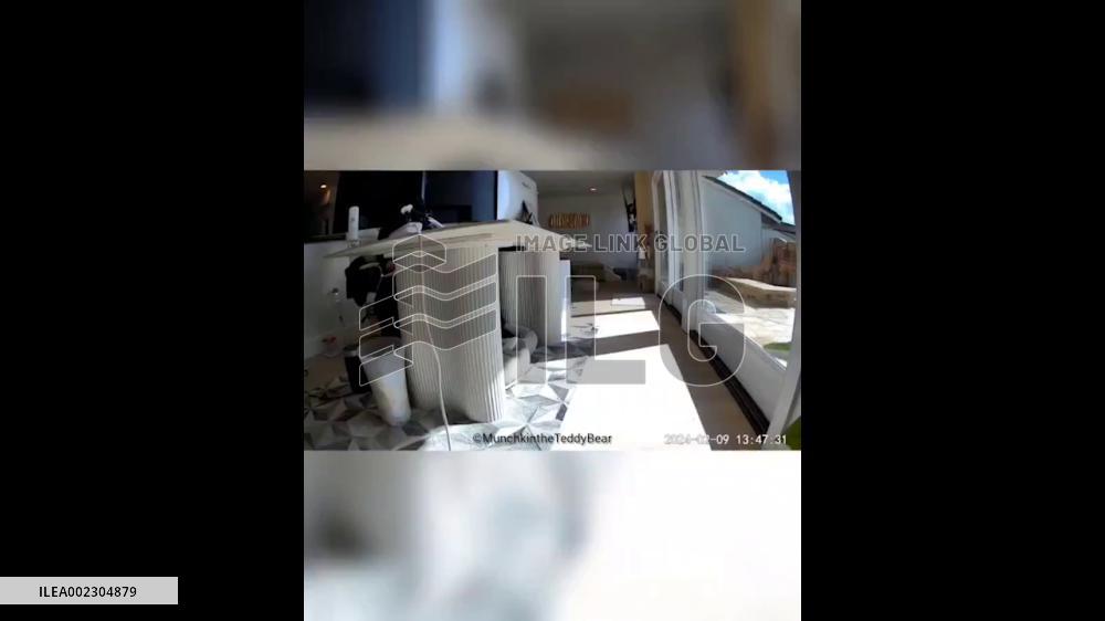 US: M4.6 Earthquake Strikes Near Malibu, Southern California