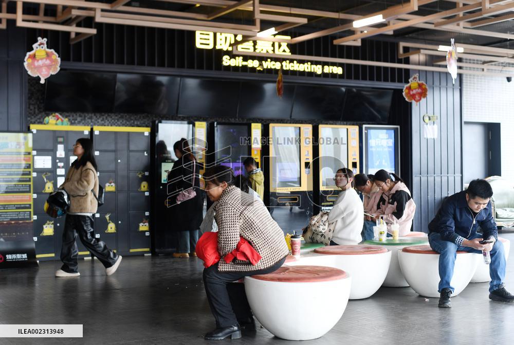 Lunar Year Movie Box Office in China