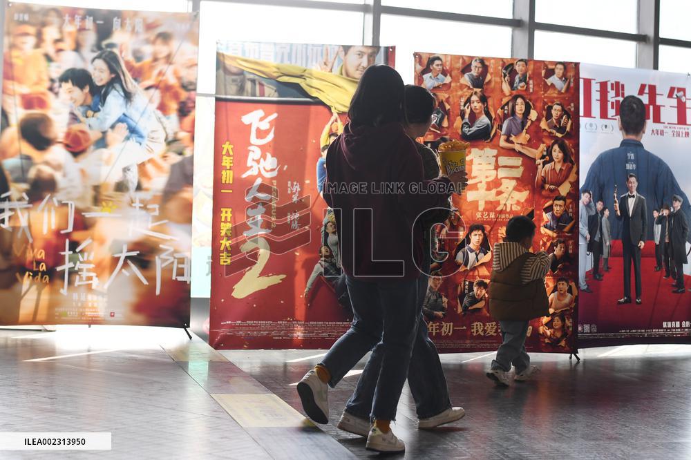 Lunar Year Movie Box Office in China