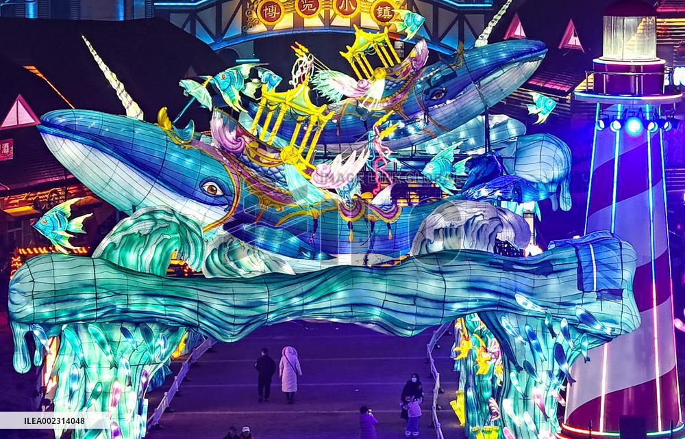 Colored Lights in Qingdao