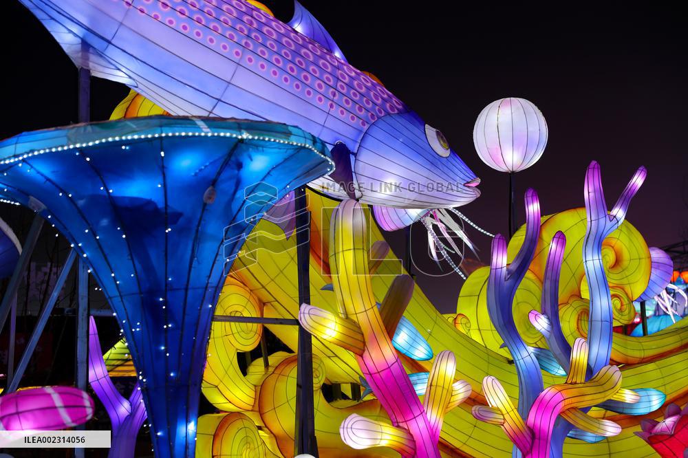 Colored Lights in Qingdao