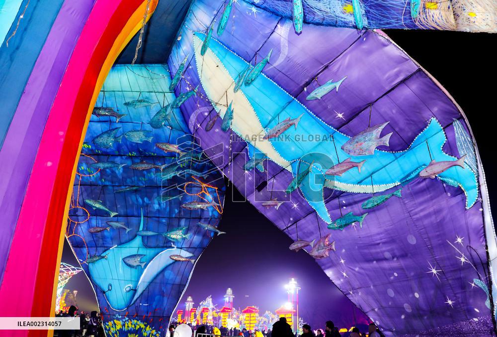 Colored Lights in Qingdao
