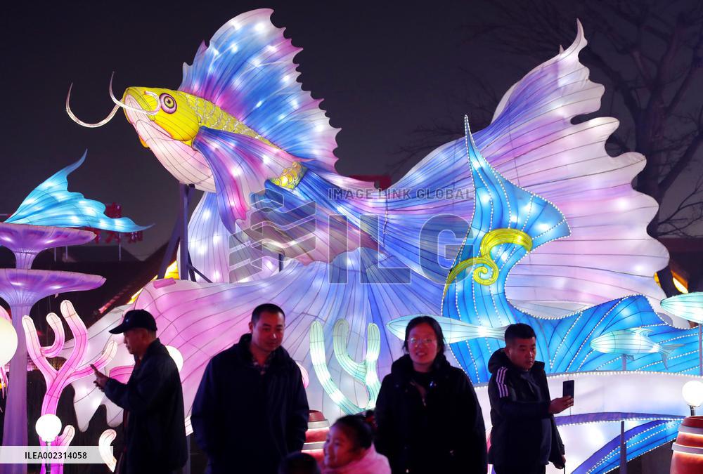 Colored Lights in Qingdao