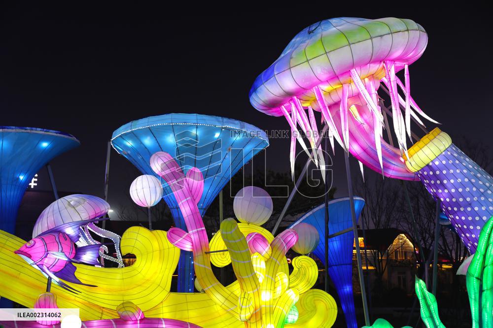 Colored Lights in Qingdao