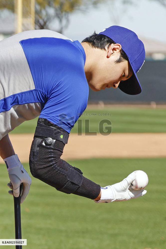 Baseball: MLB spring training