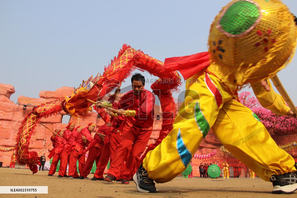 Dragon Dance Performance in Luzhou