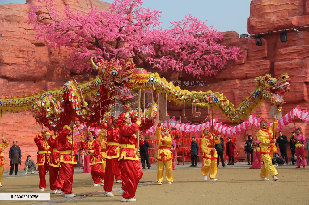 Dragon Dance Performance in Luzhou