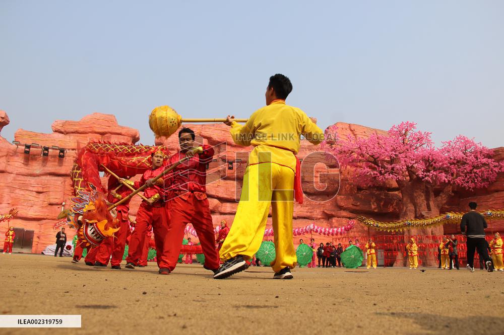 Dragon Dance Performance in Luzhou