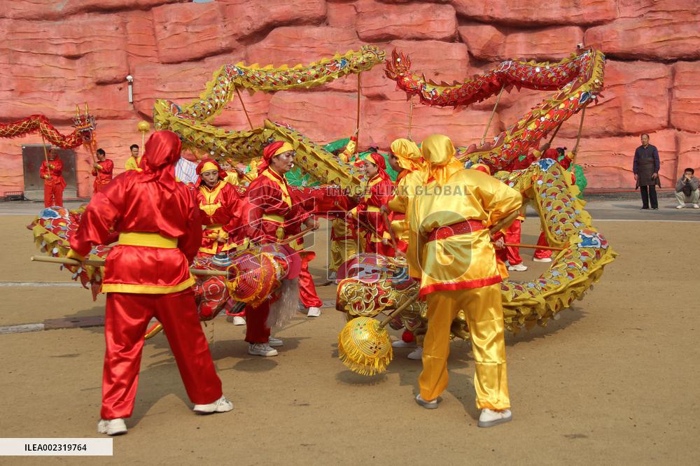 Dragon Dance Performance in Luzhou