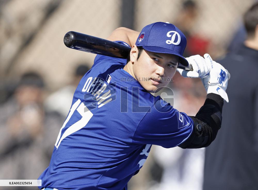 Baseball: MLB spring training