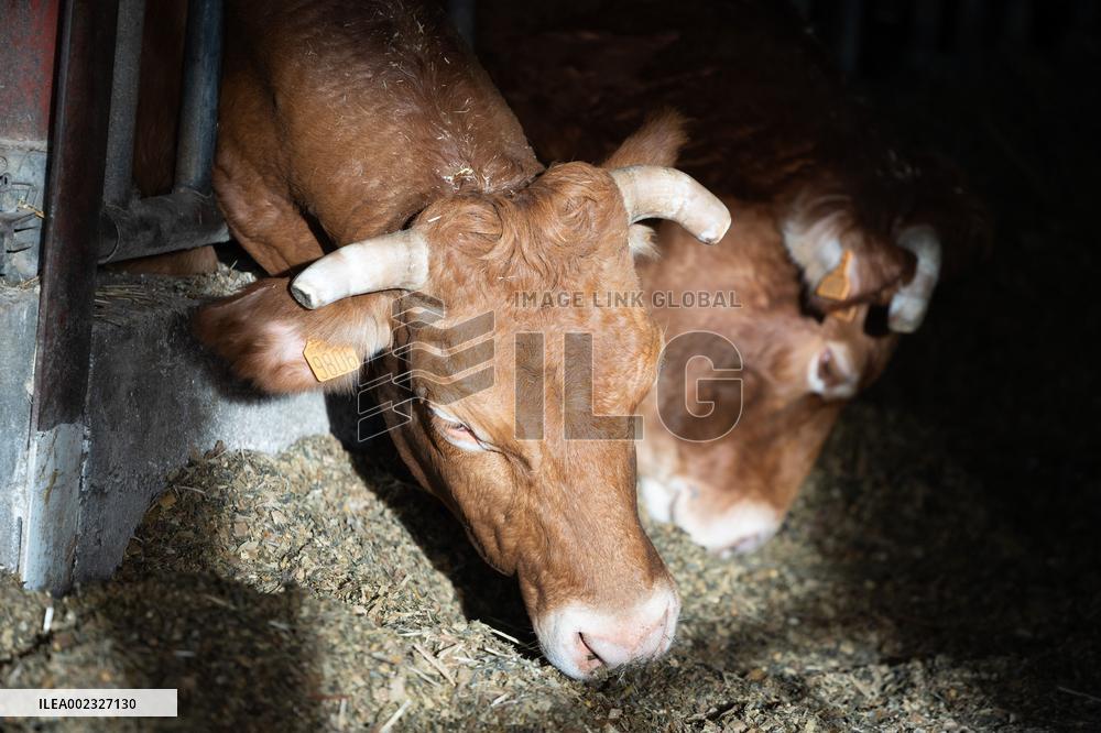 PM Attal Visits A Cattle Farm - Janvilliers