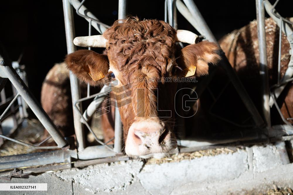 PM Attal Visits A Cattle Farm - Janvilliers