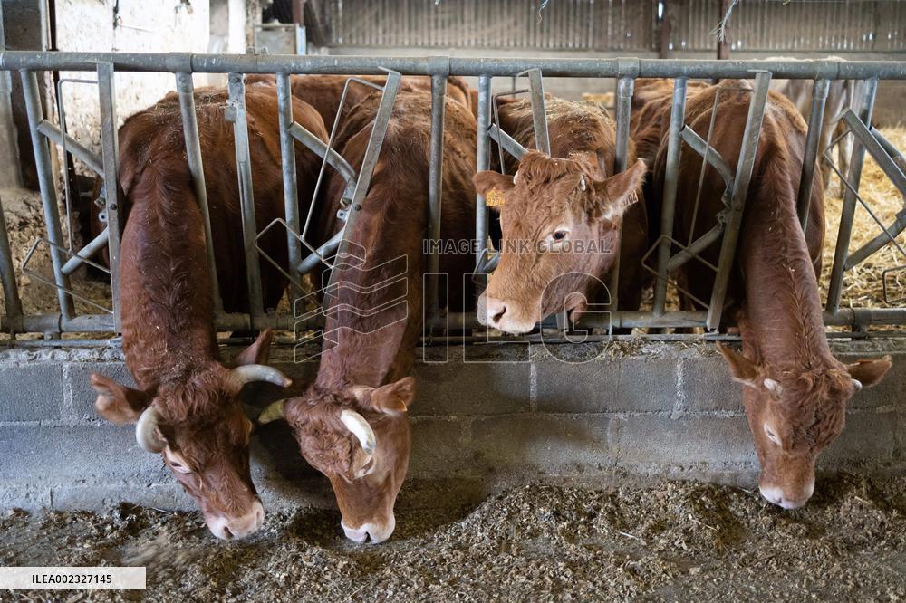 PM Attal Visits A Cattle Farm - Janvilliers