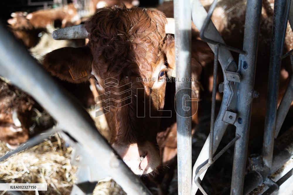 PM Attal Visits A Cattle Farm - Janvilliers