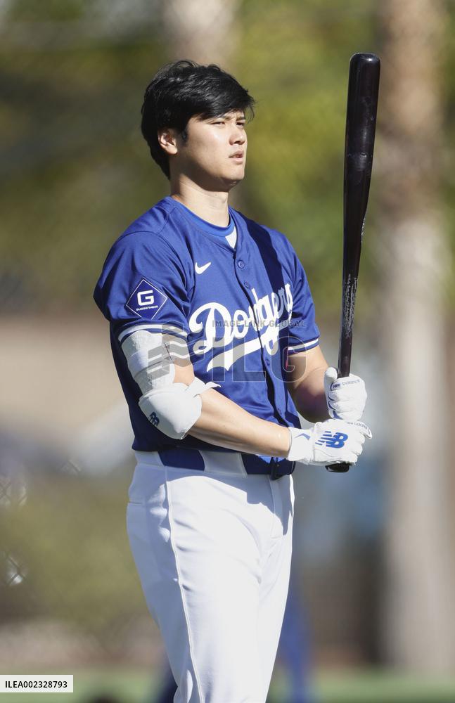 Baseball: MLB spring training