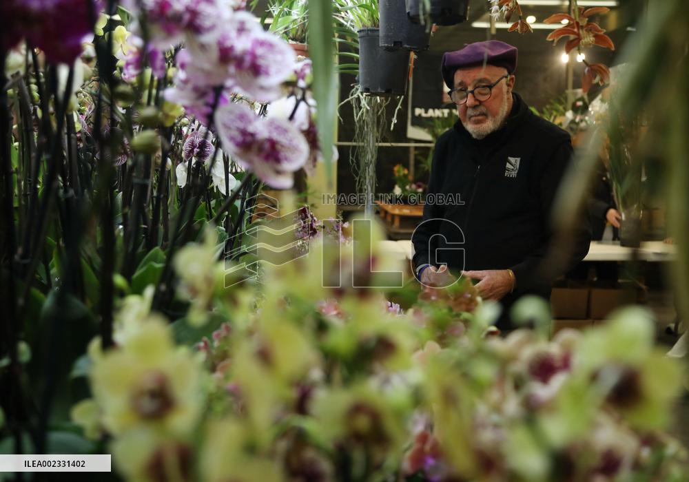 U.S.-SAN FRANCISCO-ORCHID-EXPO