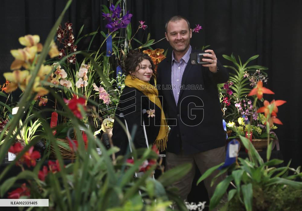 U.S.-SAN FRANCISCO-ORCHID-EXPO