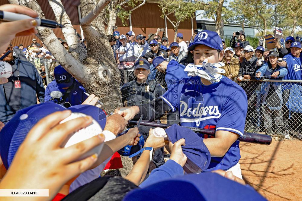 Baseball: MLB spring training