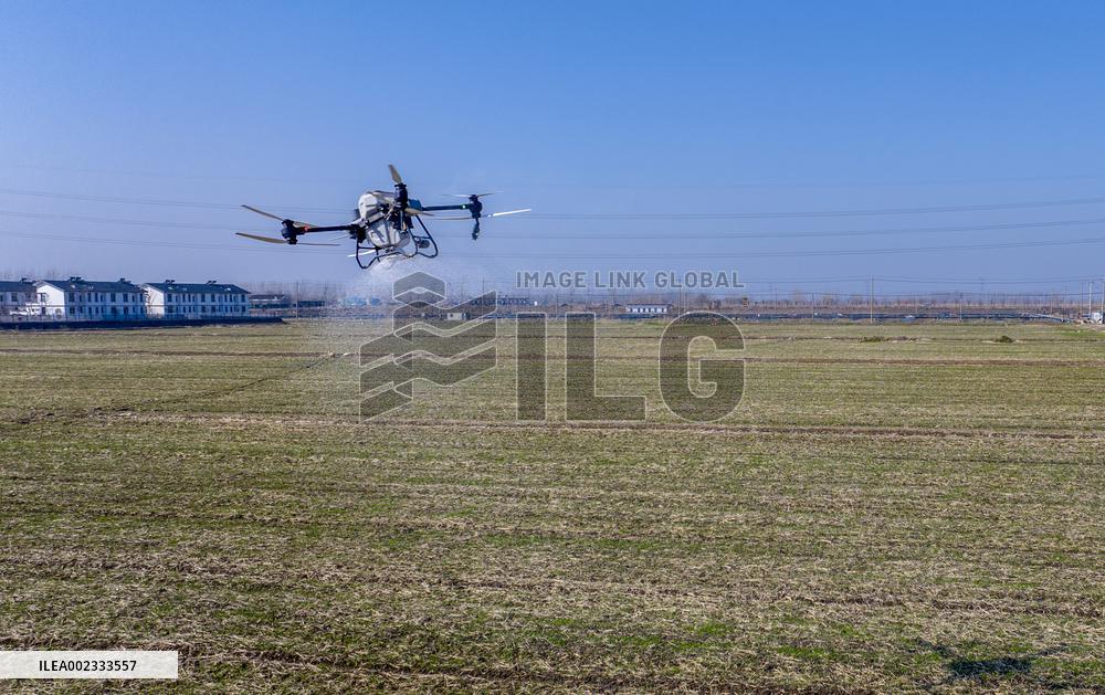 Fertilize Wheat in Suqian
