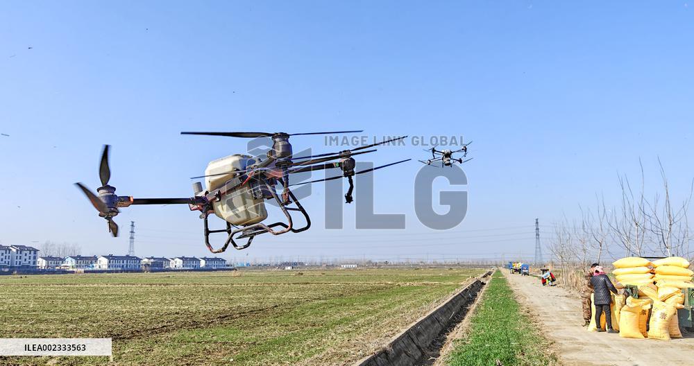 Fertilize Wheat in Suqian