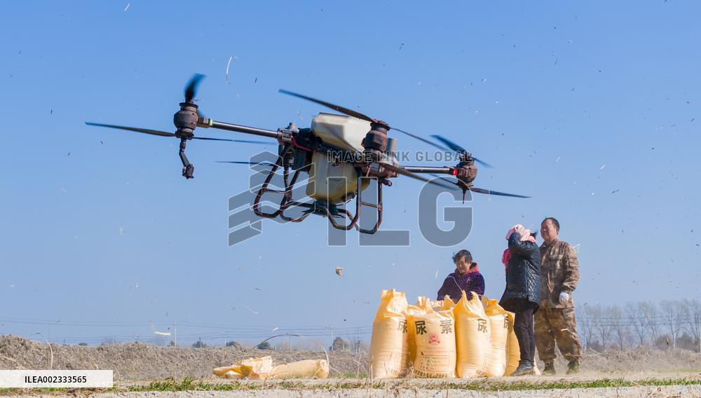 Fertilize Wheat in Suqian