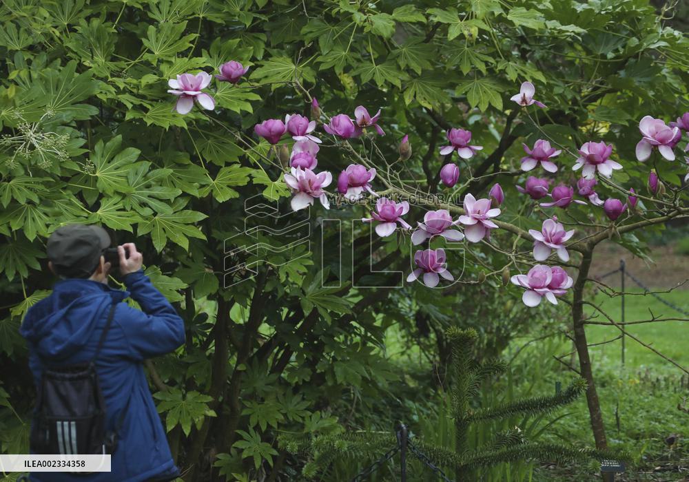 U.S.-SAN FRANCISCO-DAILY LIFE-BOTANICAL GARDEN