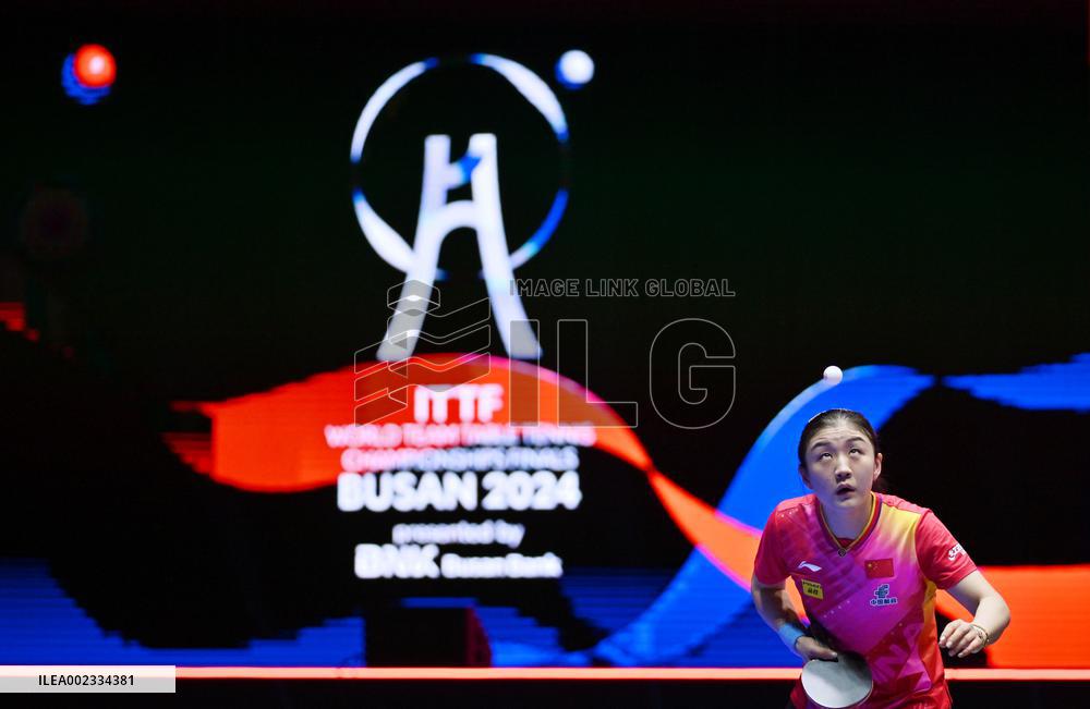 (SP)SOUTH KOREA-BUSAN-TABLE TENNIS-WORLD TEAM CHAMPIONSHIPS FINALS-WOMEN-CHN VS UZB