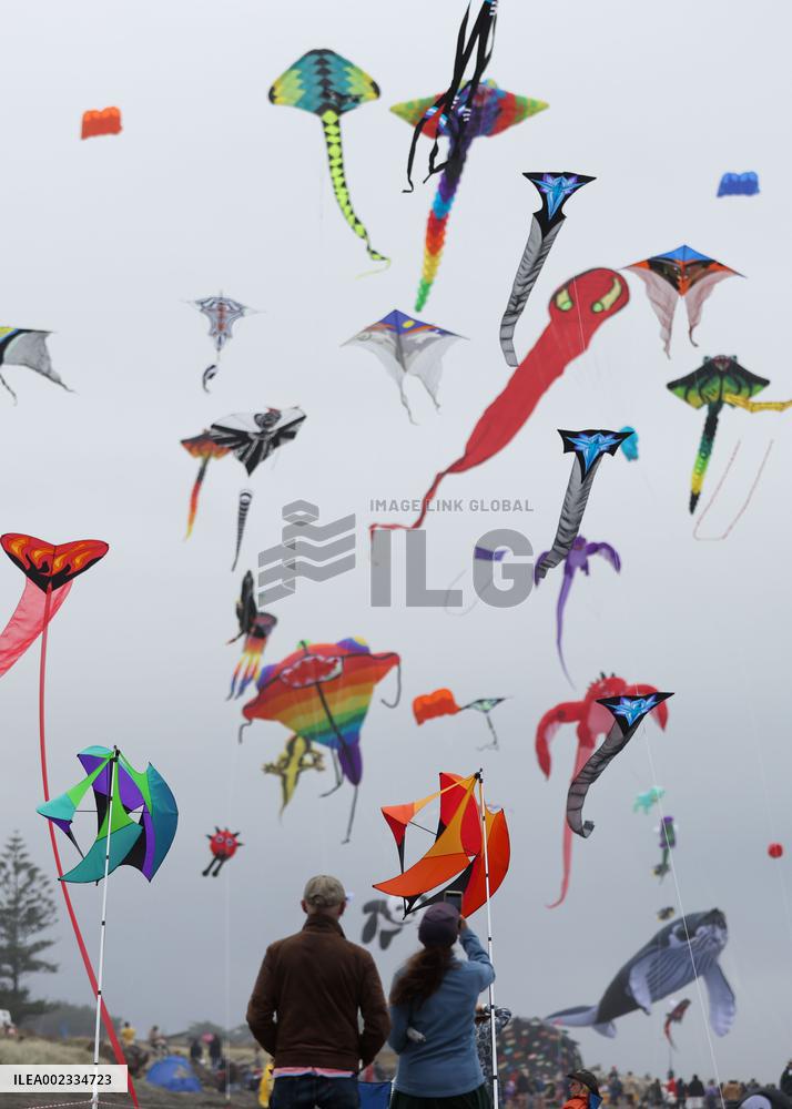 NEW ZEALAND-WELLINGTON-OTAKI KITE FESTIVAL
