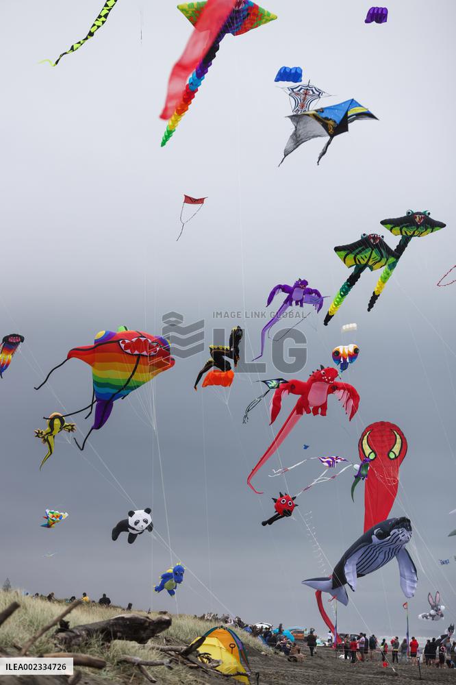 NEW ZEALAND-WELLINGTON-OTAKI KITE FESTIVAL