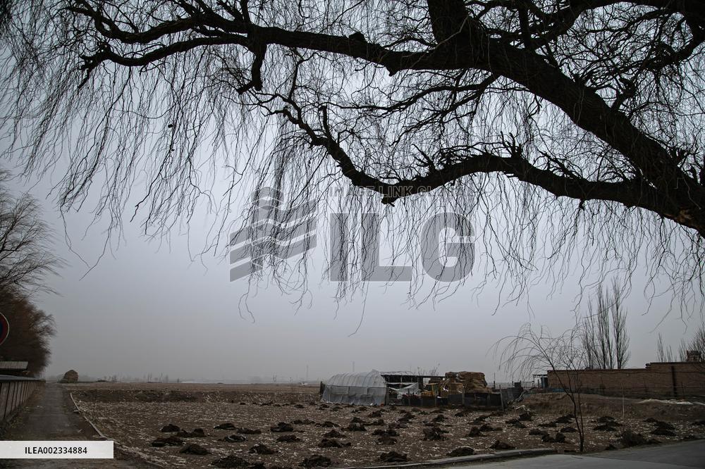 Sandstorm Hit Yongchang